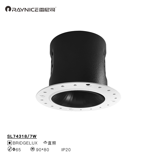 雷尼司几何系列射灯