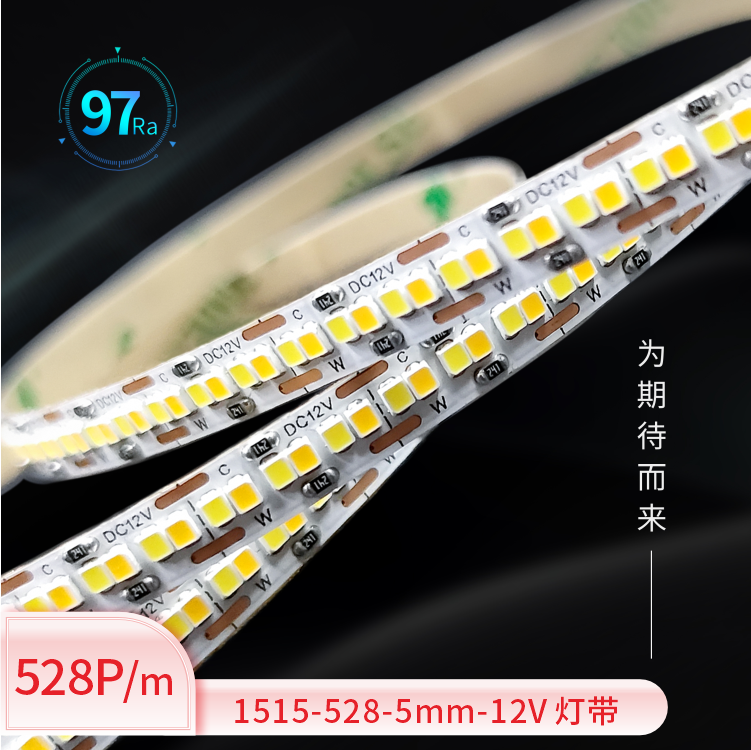 1515-528PCS-5mm-12V双色温两线灯带