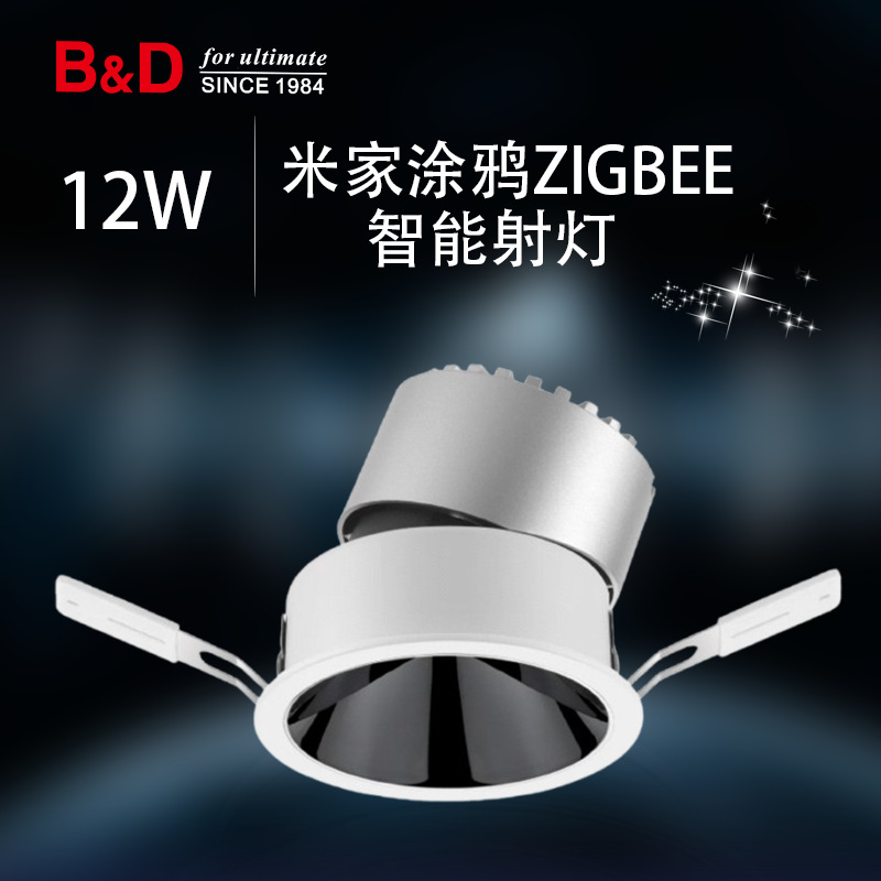 宝能达拨码调色涂鸦ZIGBEE米家智能调光调色24V恒压双色