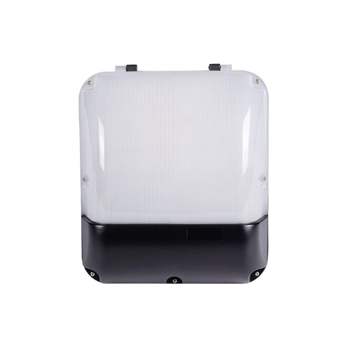 Ivy-3CCT WALLPACK