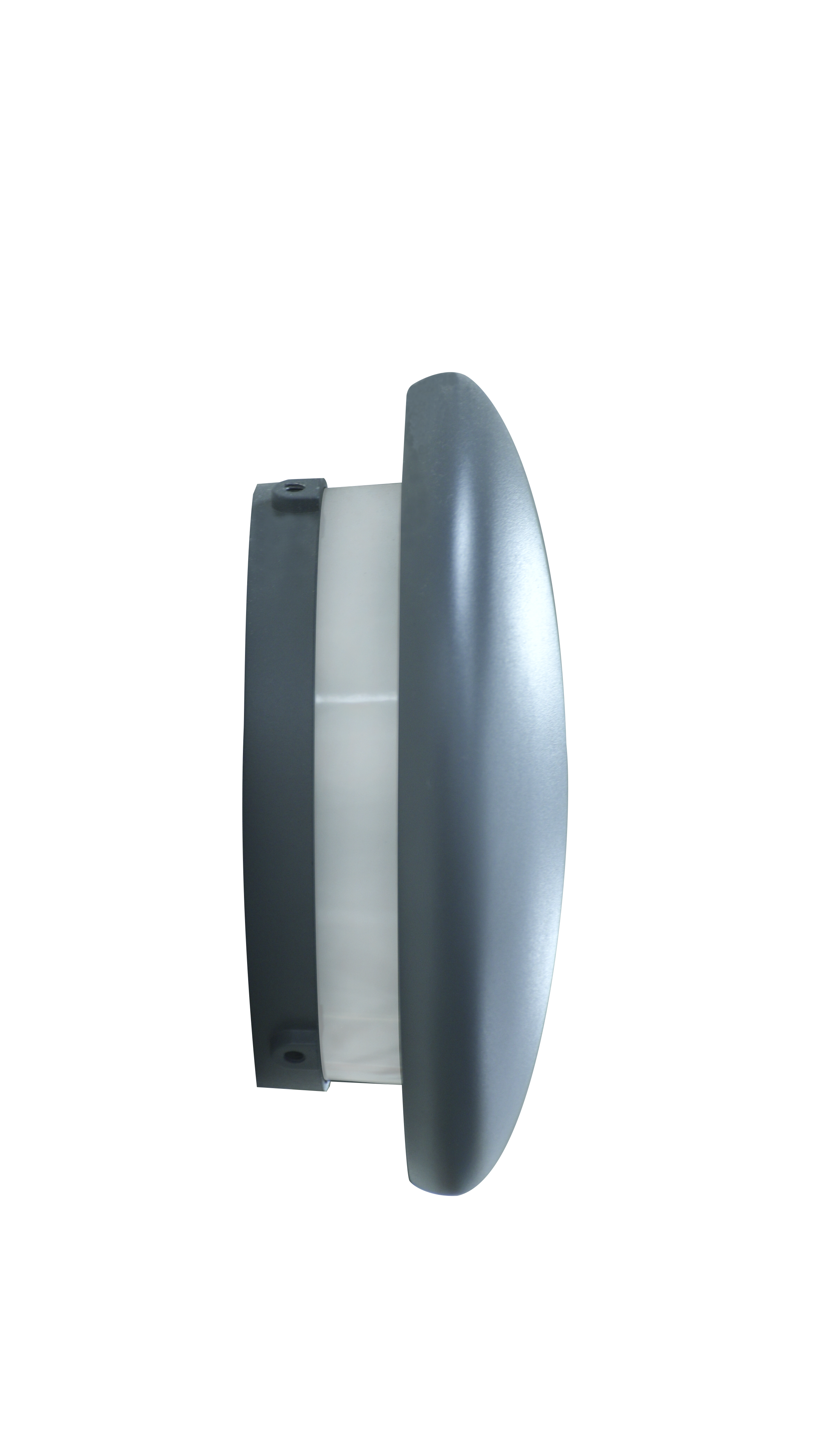 GPA-210东菇
