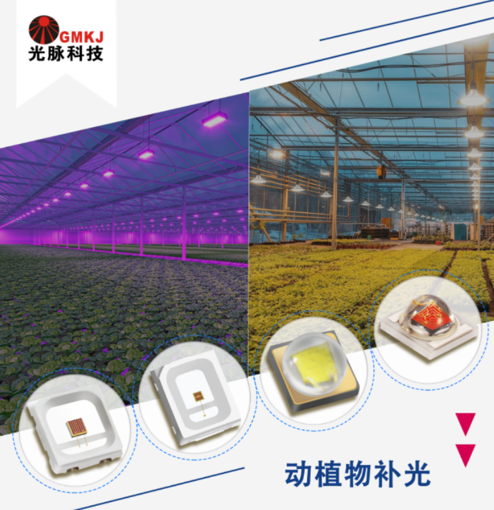 光脉 植物补光 LED灯珠