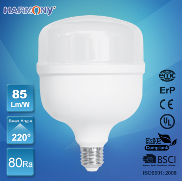 大功率T泡系列-LED T BULB SERIES
