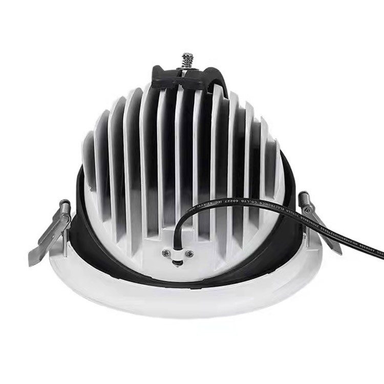  普仕通  LED 象鼻筒灯PU-DL-D10