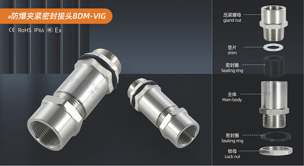防爆夹紧密封接头BDM-VIG