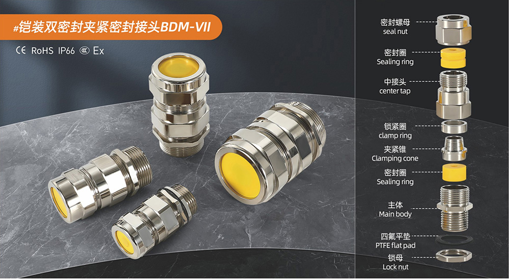 防爆夹紧密封接头BDM-VIl