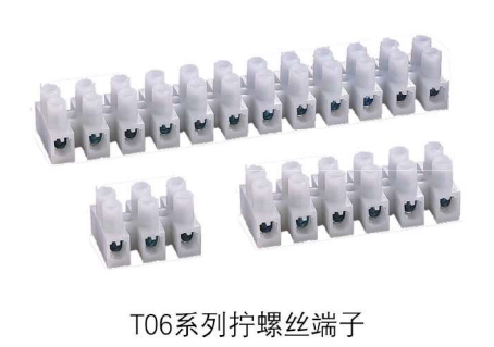 汇诚丰 T06系列拧螺丝端子