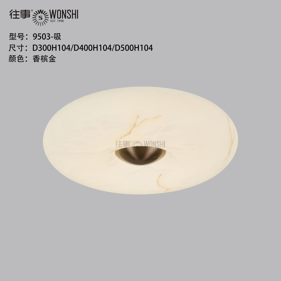 金镶玉系列9503